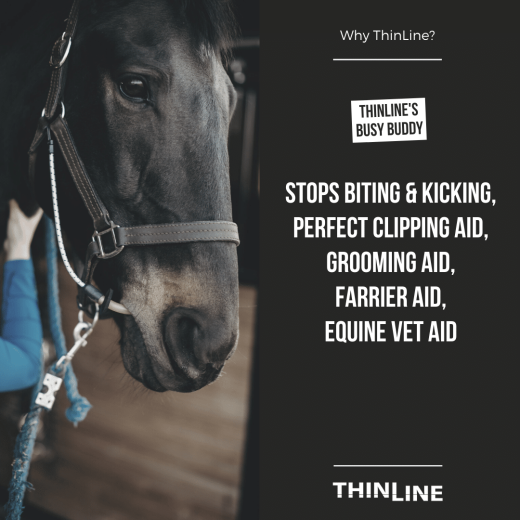 ThinLine busy buddy
