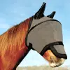 Space koepel