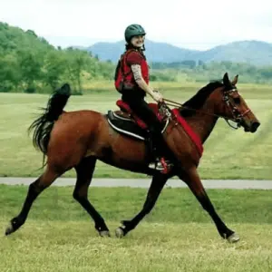 Endurance Pads